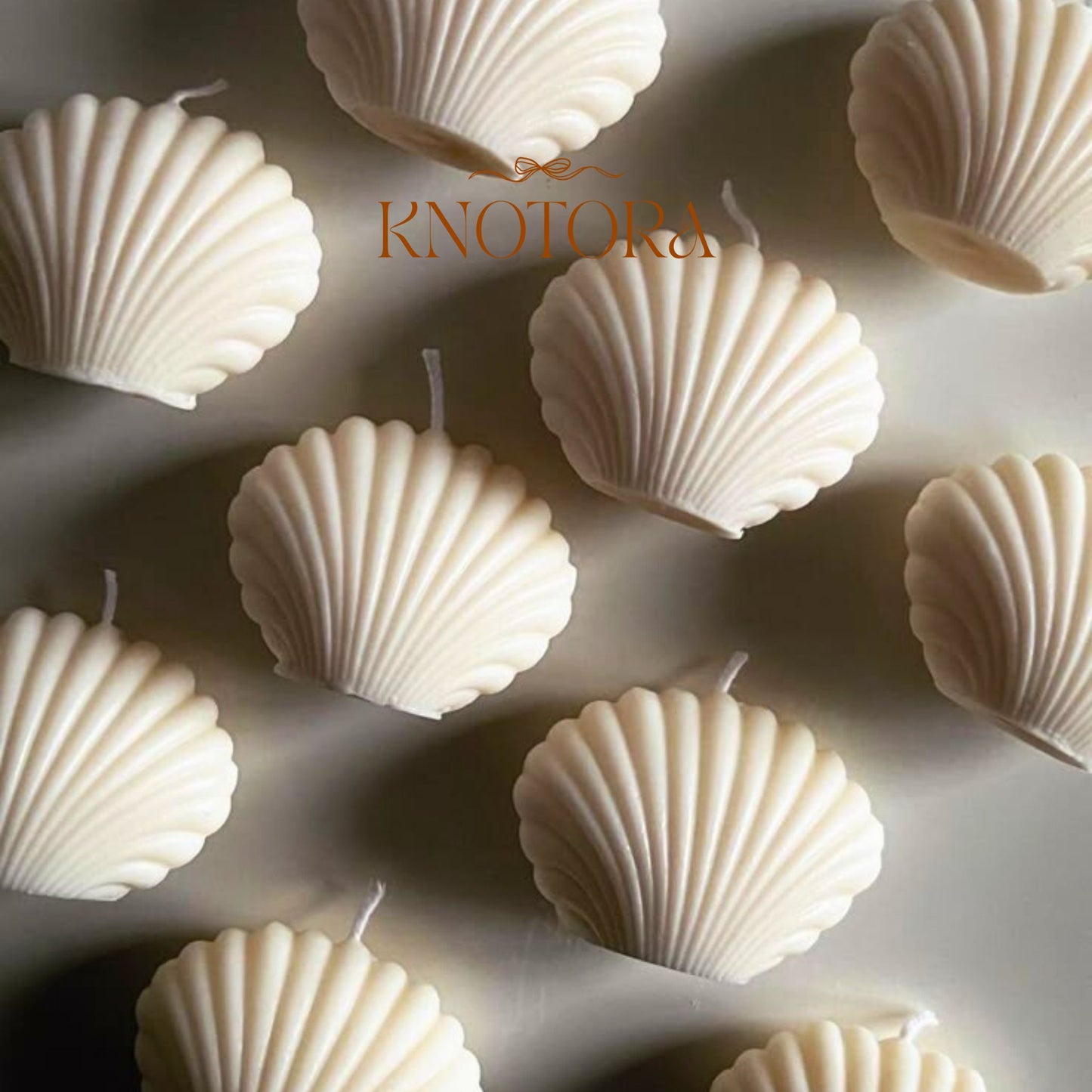Shell Candle