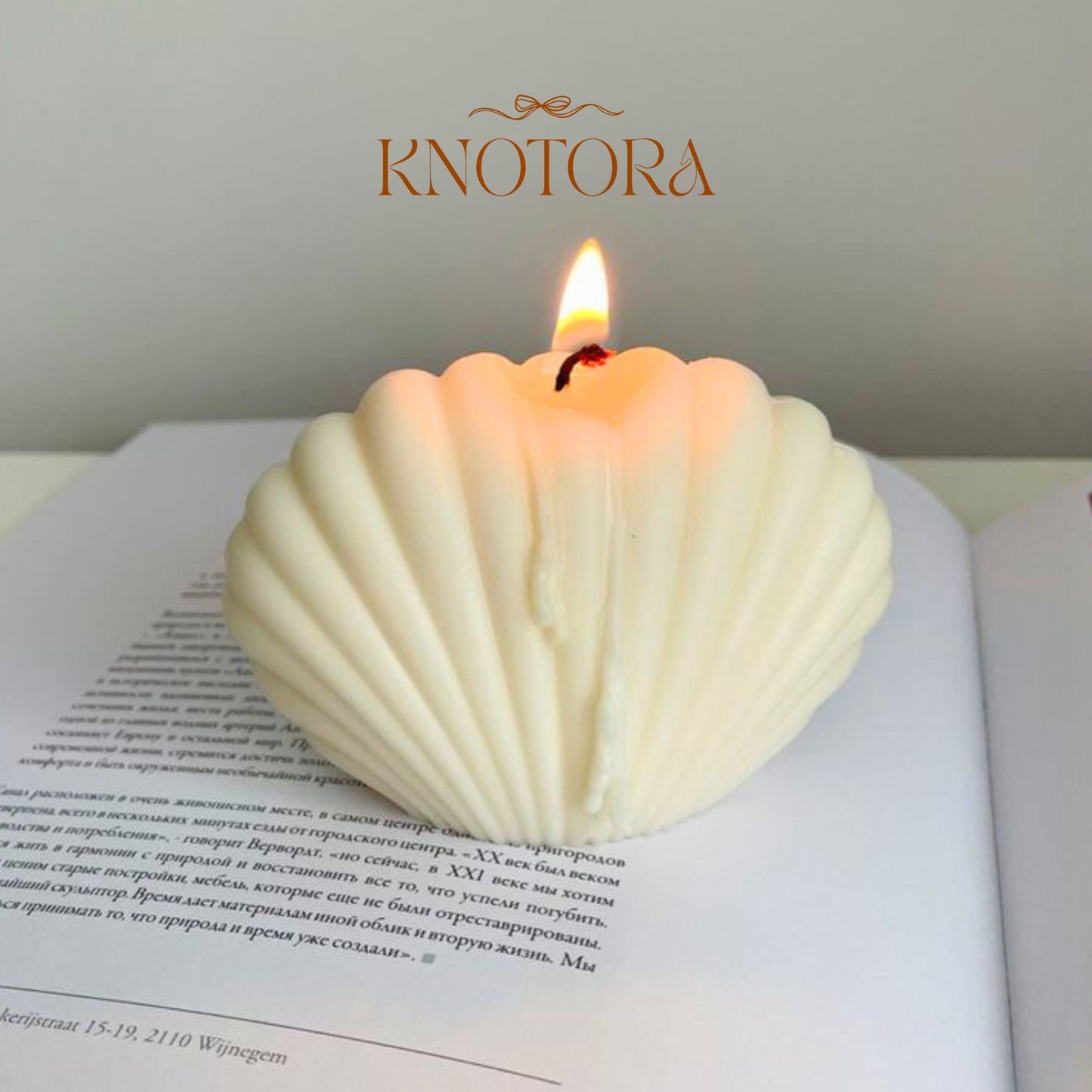 Shell Candle